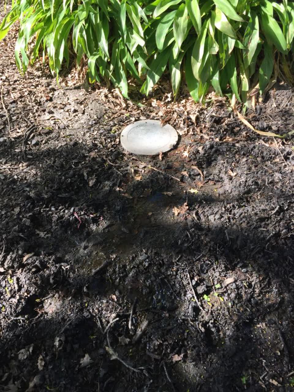 The photograph attached to this water supply report
