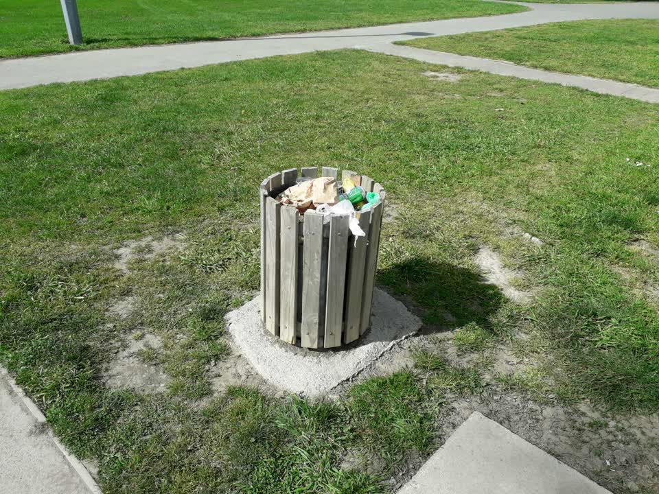 The photograph attached to this parks report