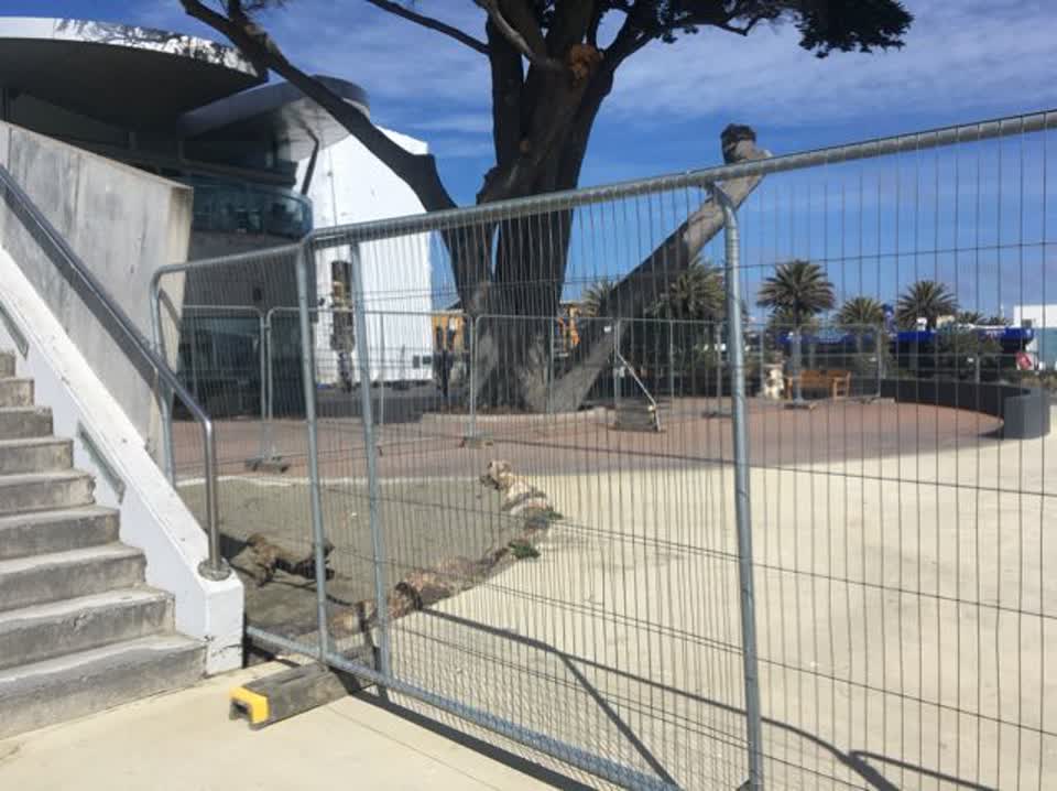The photograph attached to this parks report