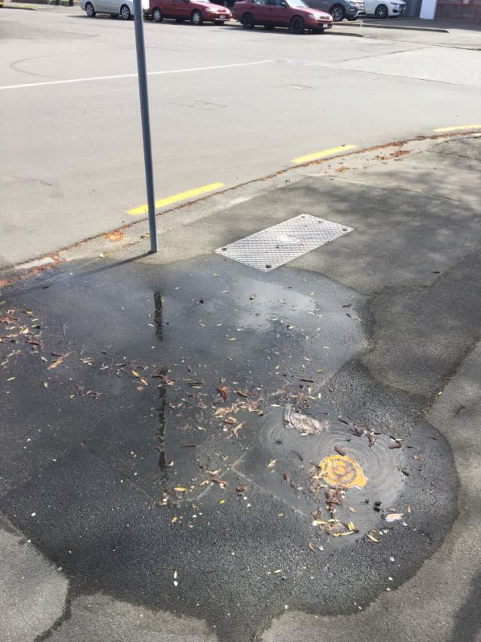 The photograph attached to this water supply report