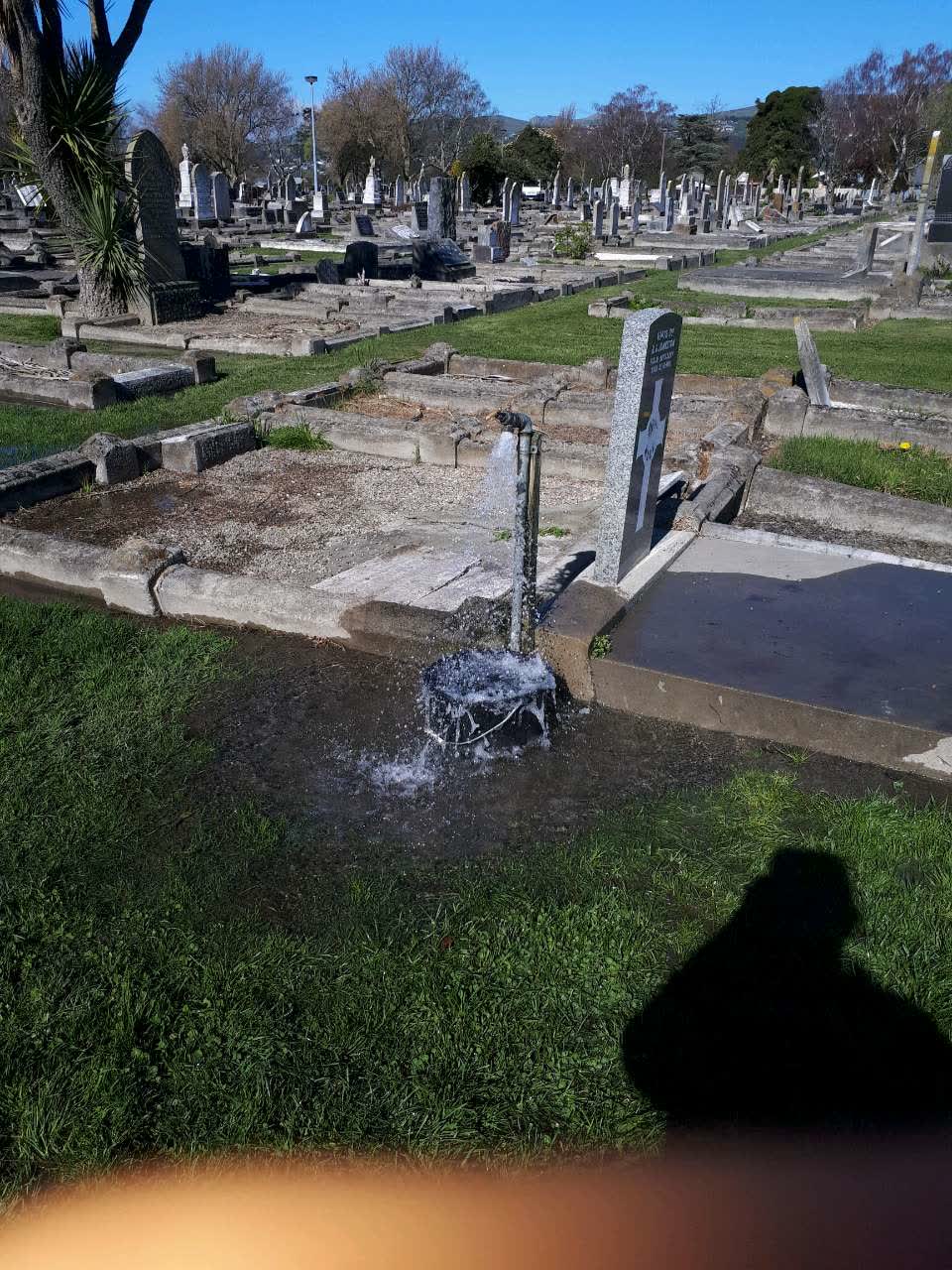 The photograph attached to this parks report