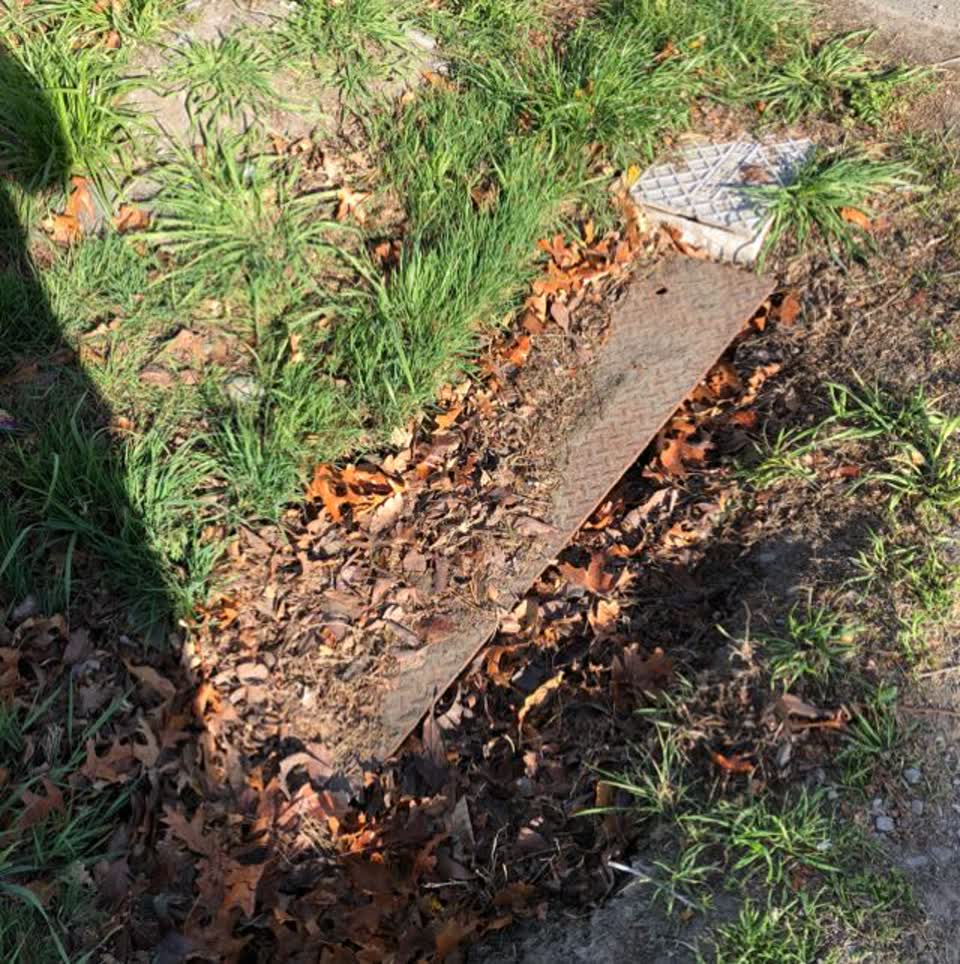 The photograph attached to this parks report