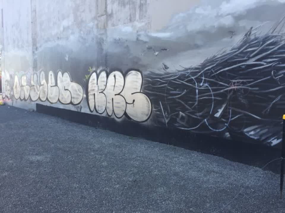 The photograph attached to this graffiti report