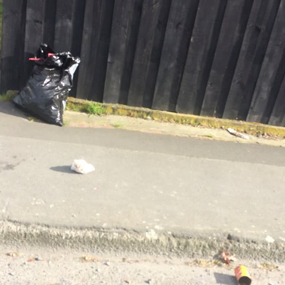 The photograph attached to this rubbish/recycling report
