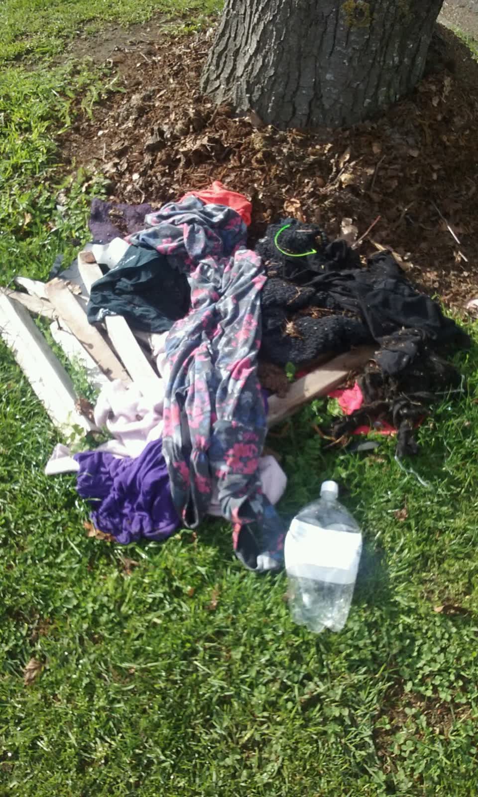 The photograph attached to this rubbish/recycling report
