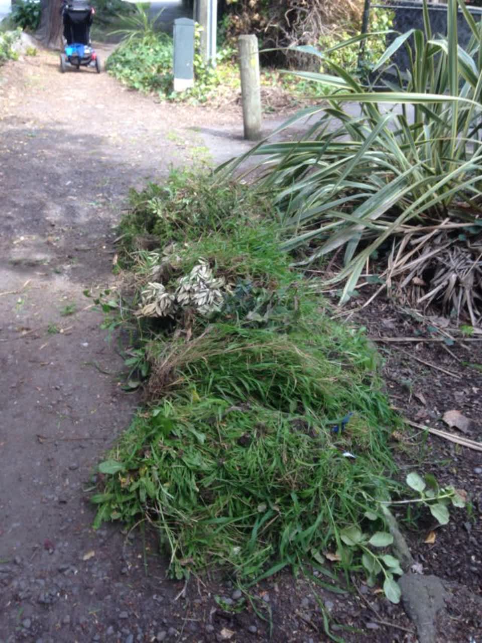 The photograph attached to this parks report