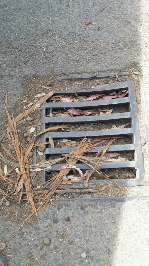 Wastewater/Stormwater — a report photo