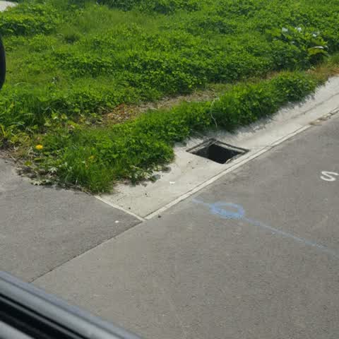 Roading/Streets, a report photo