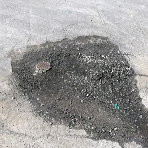 Water Supply, a report photo