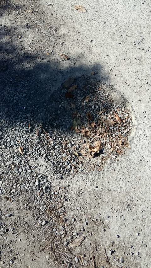 Roading/Streets, a report photo