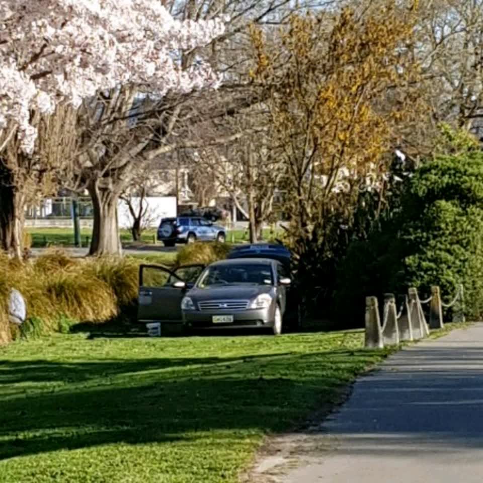 The photograph attached to this parks report