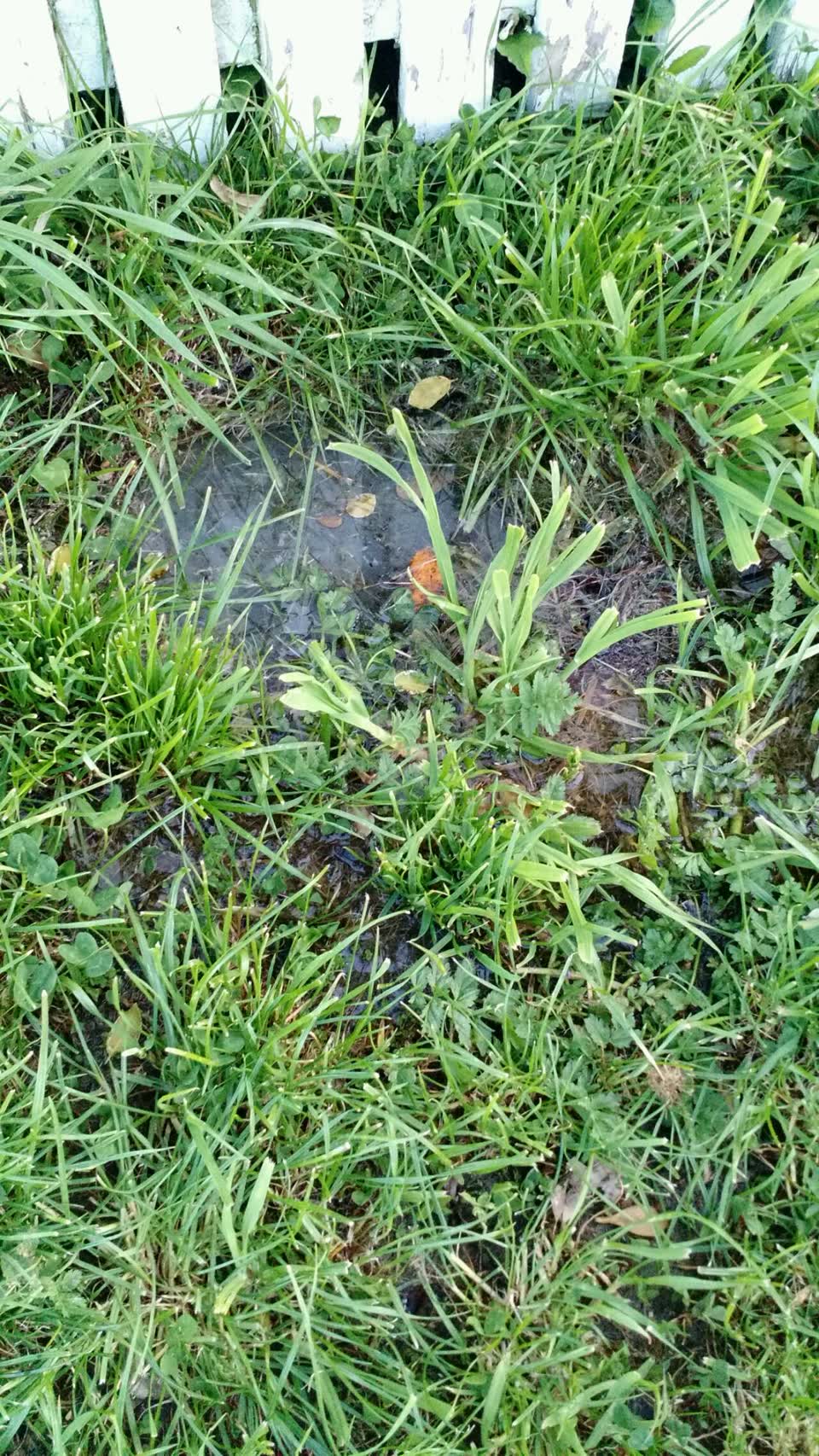 The photograph attached to this flooding report