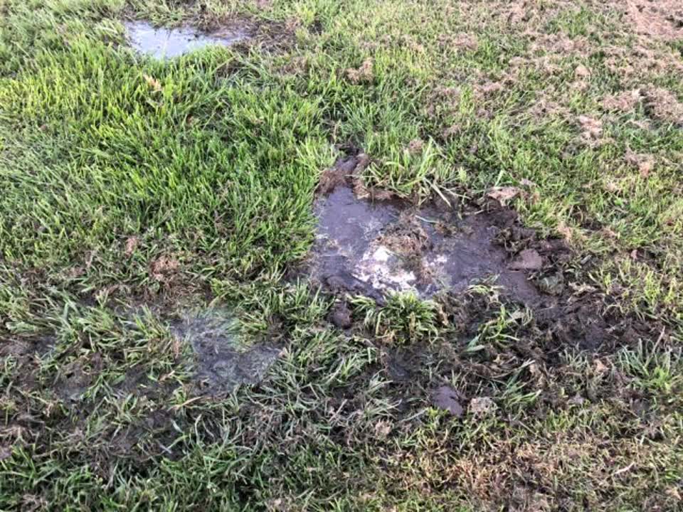 The photograph attached to this water supply report