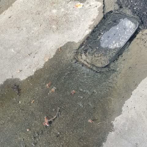 Water Supply, a report photo