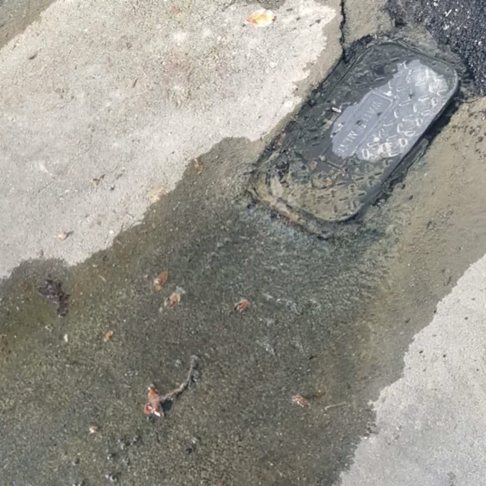 The photograph attached to this water supply report