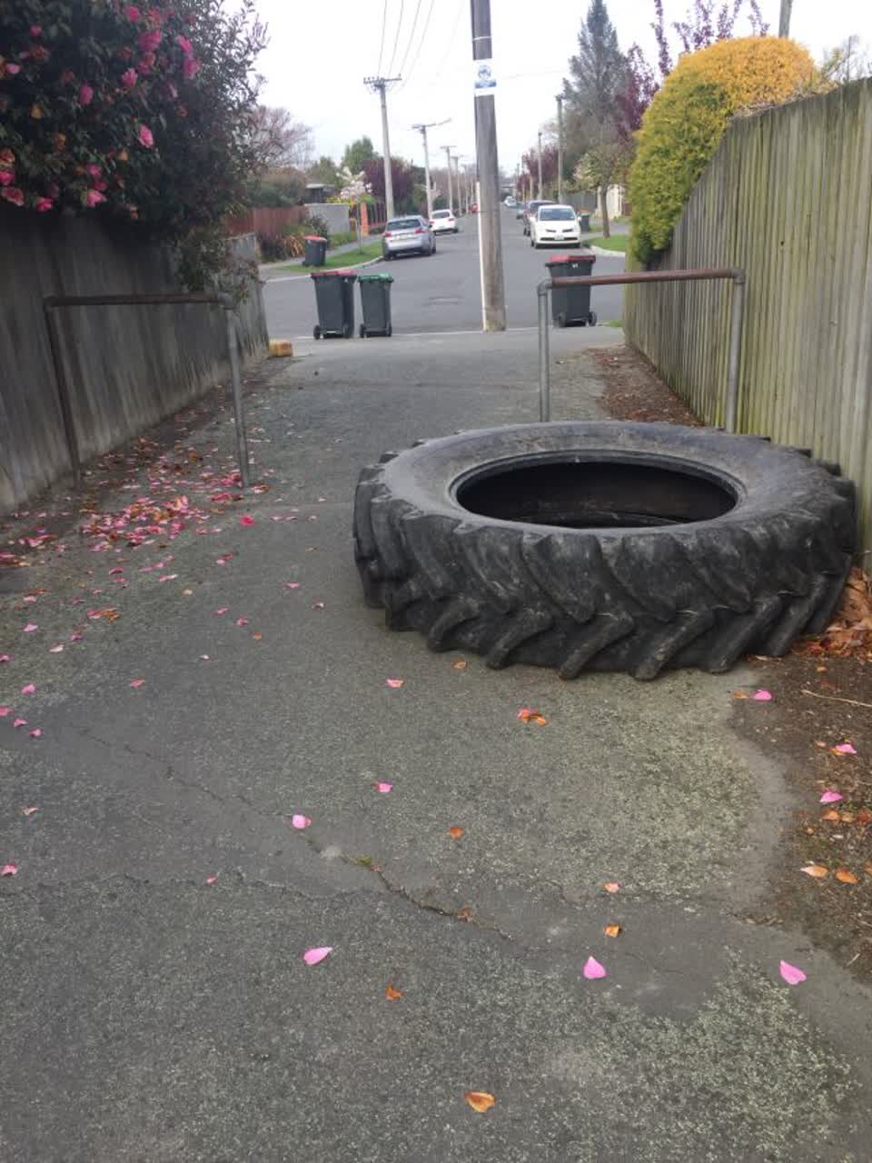 The photograph attached to this parks report
