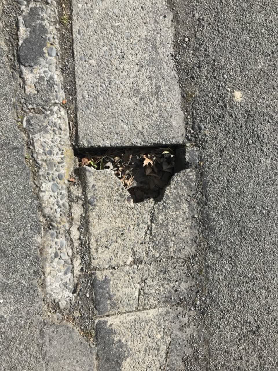 The photograph attached to this roading/streets report