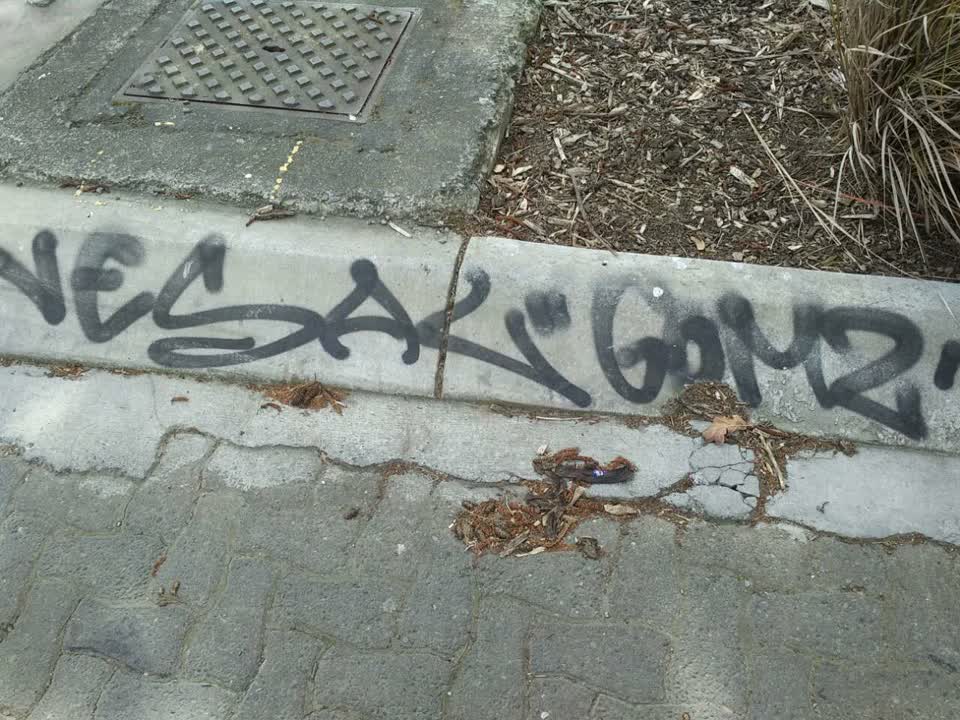 The photograph attached to this graffiti report