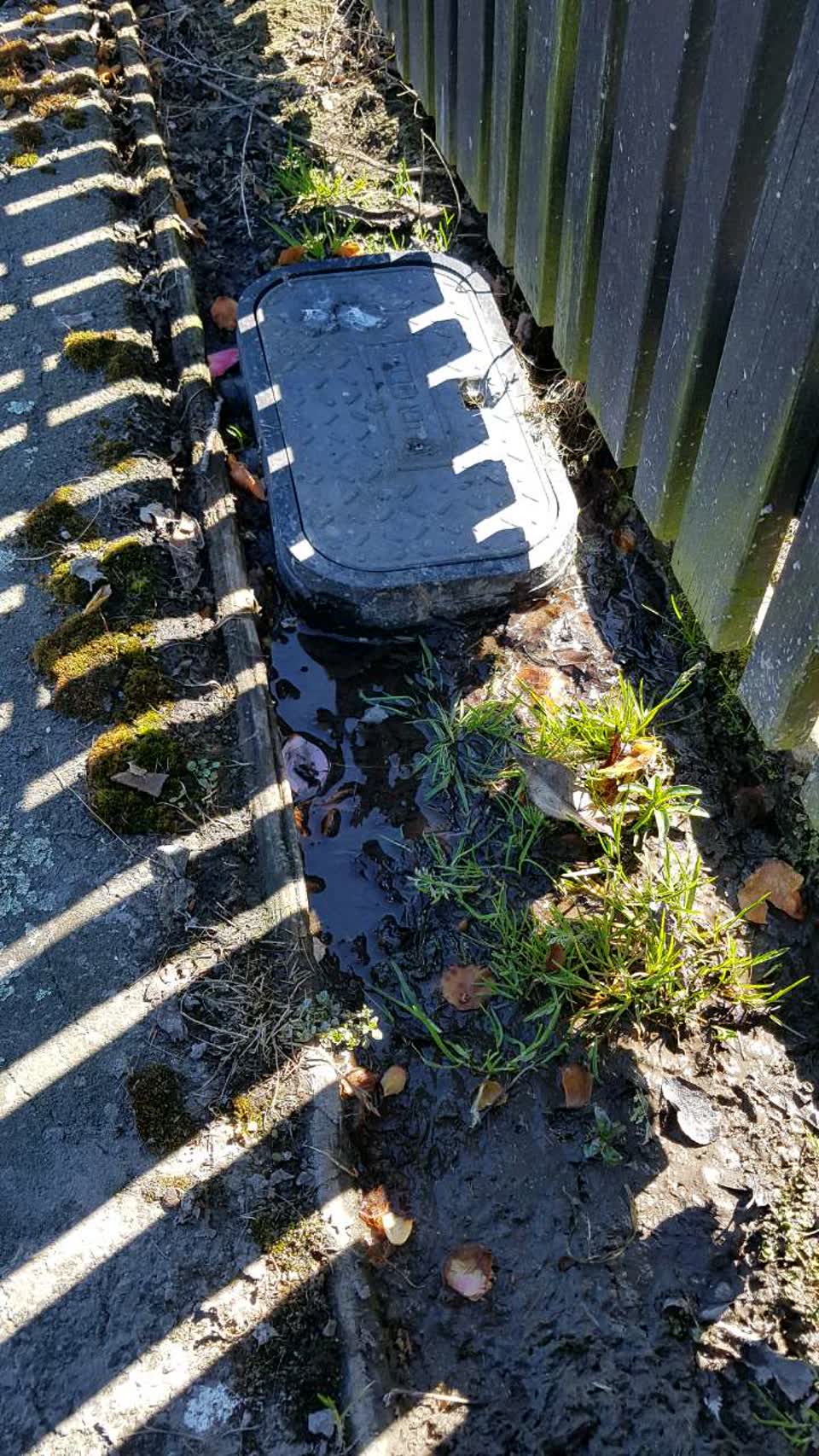 The photograph attached to this water supply report