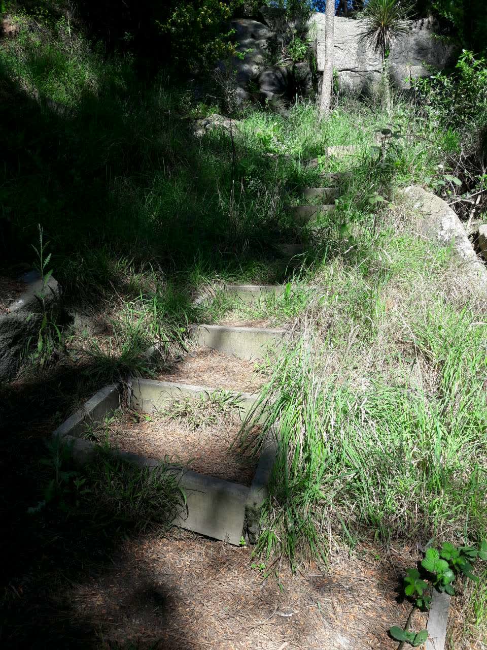The photograph attached to this parks report