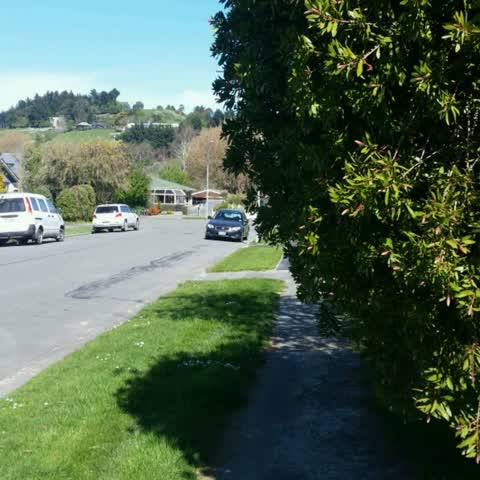 Parks, a report photo