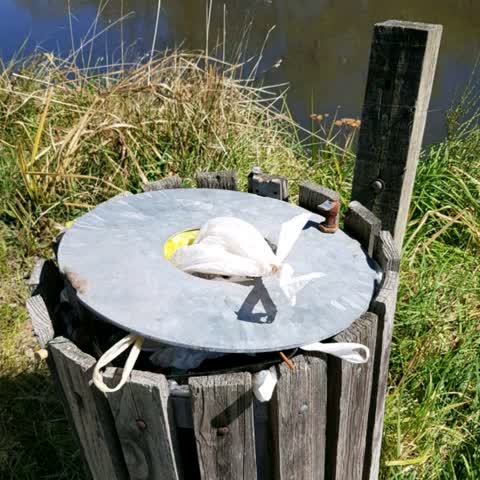Rubbish/Recycling, a report photo