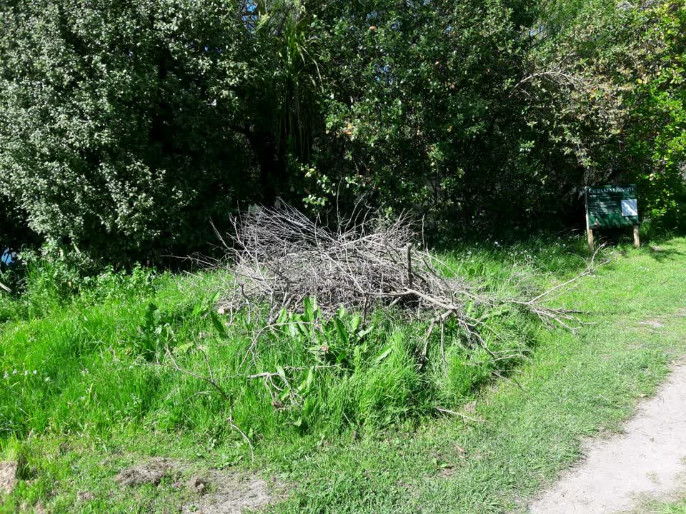The photograph attached to this parks report