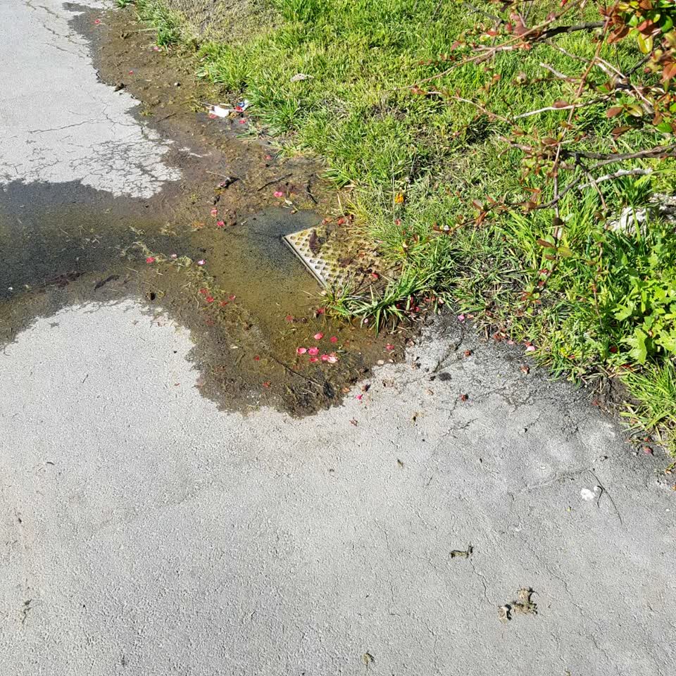 The photograph attached to this wastewater/stormwater report