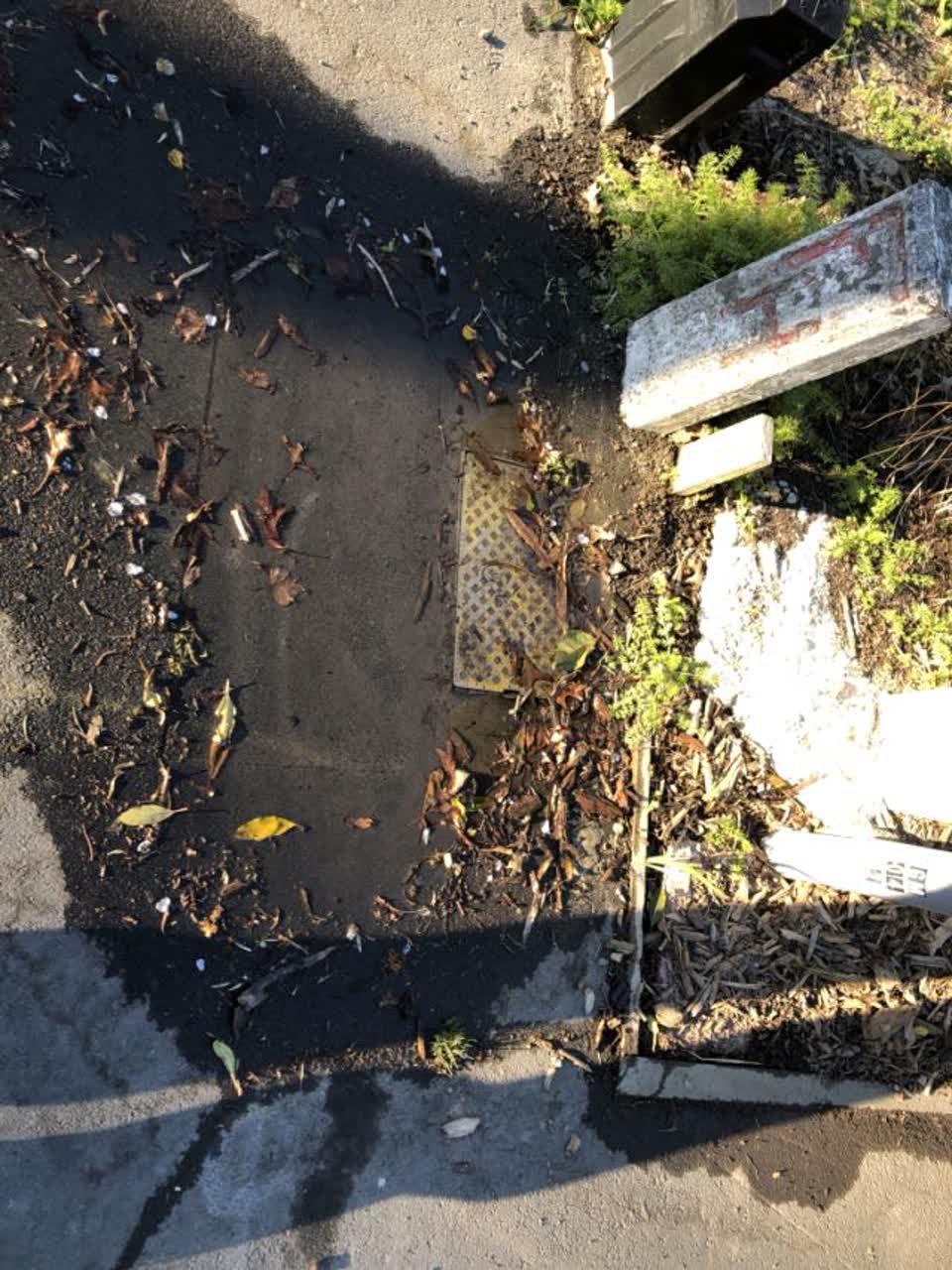 The photograph attached to this water supply report