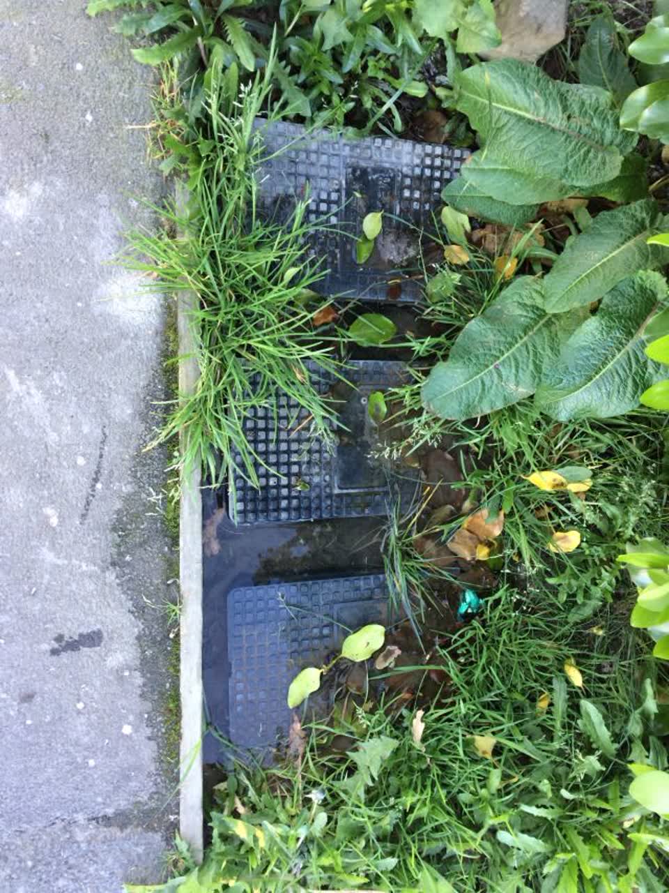 The photograph attached to this water supply report