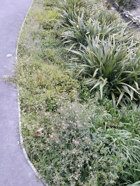 Parks, a report photo