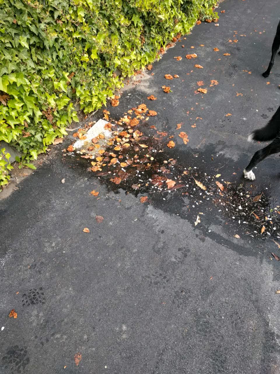 The photograph attached to this water supply report