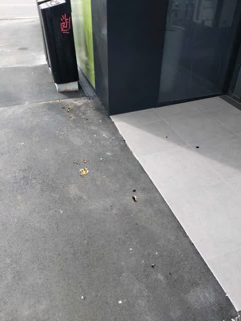 Roading/Streets, a report photo