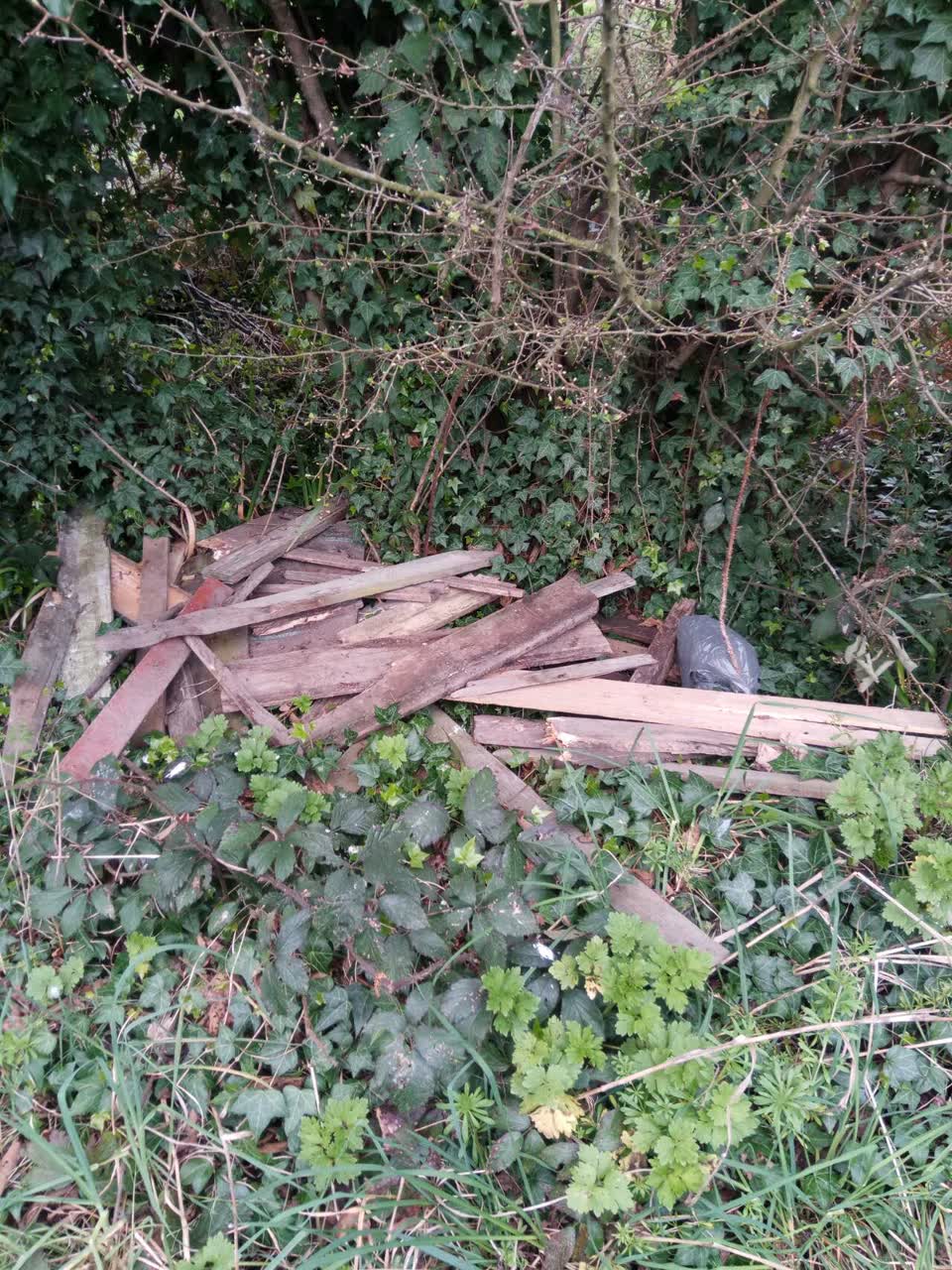 The photograph attached to this rubbish/recycling report