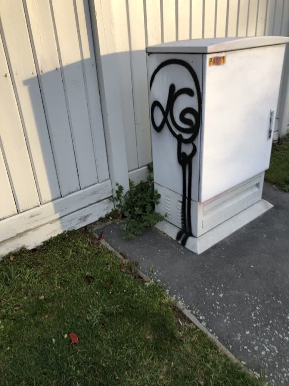 The photograph attached to this graffiti report