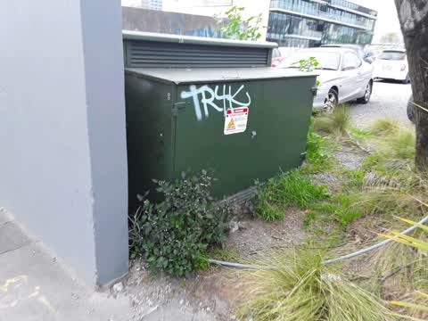 Graffiti — a report photo