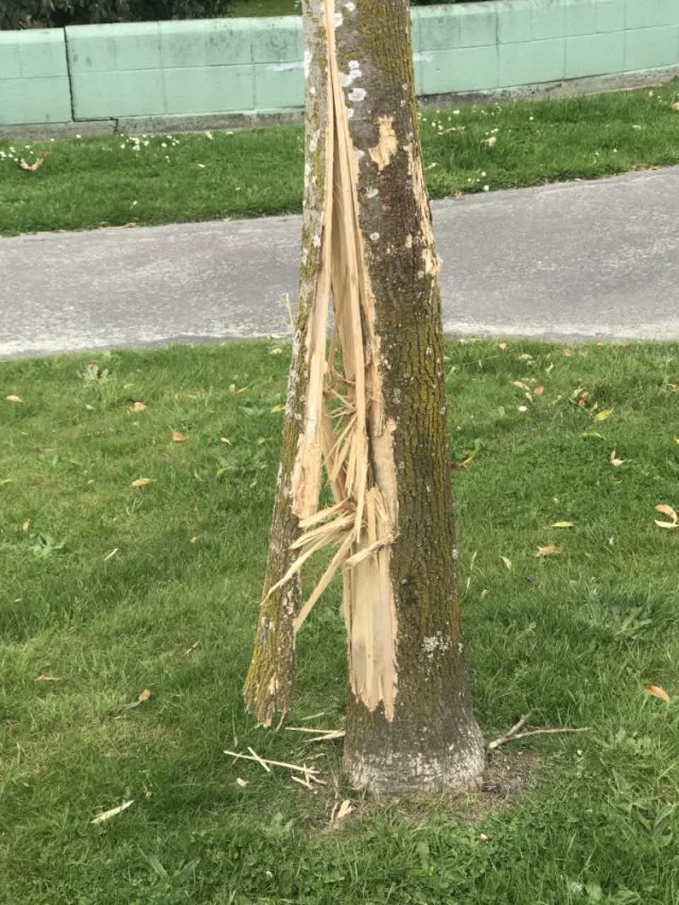 The photograph attached to this roading/streets report