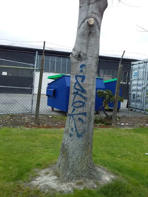 Graffiti, a report photo