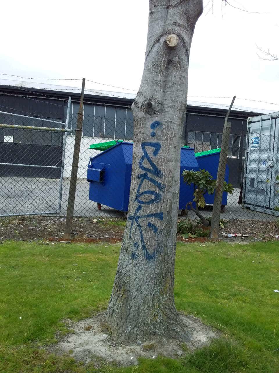 The photograph attached to this graffiti report