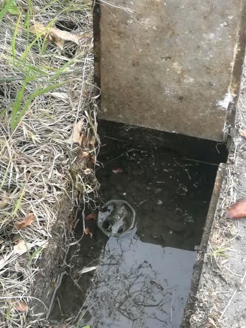 Water Supply, a report photo