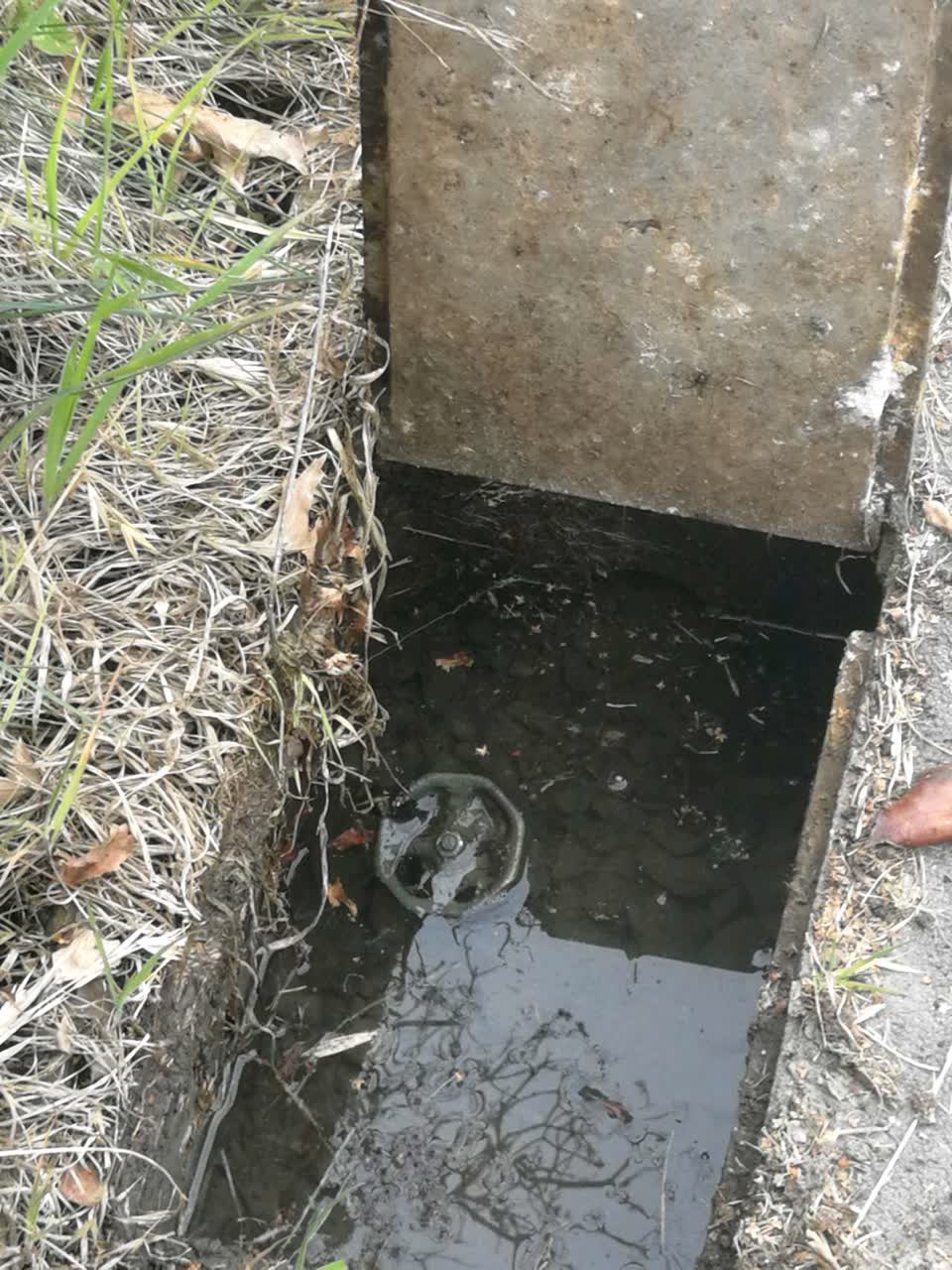 The photograph attached to this water supply report