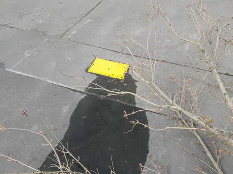 Roading/Streets, a report photo