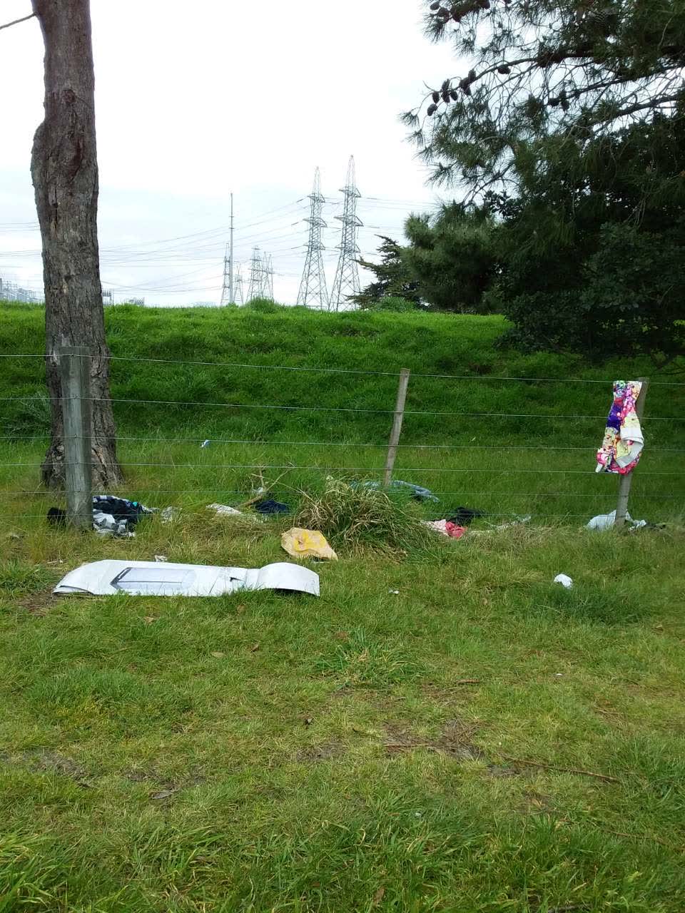 The photograph attached to this rubbish/recycling report