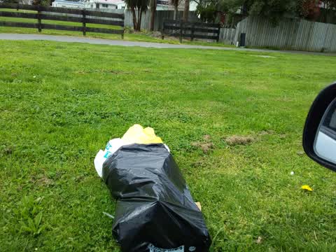 Rubbish/Recycling, a report photo