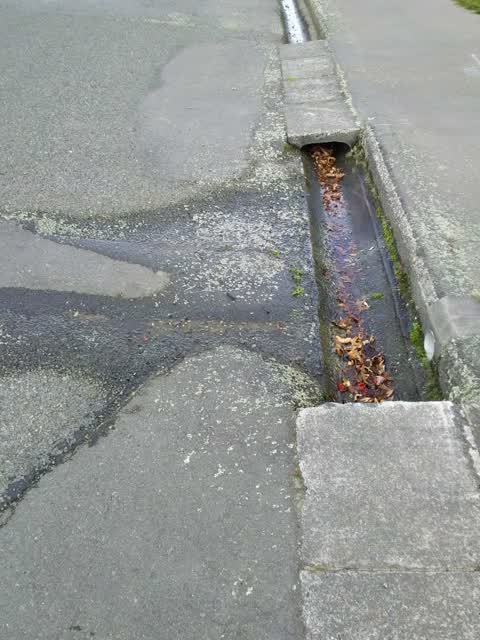 Wastewater/Stormwater, a report photo