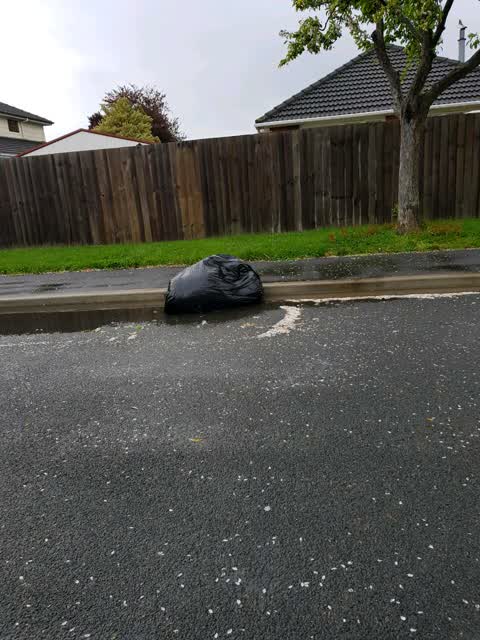 Rubbish/Recycling, a report photo