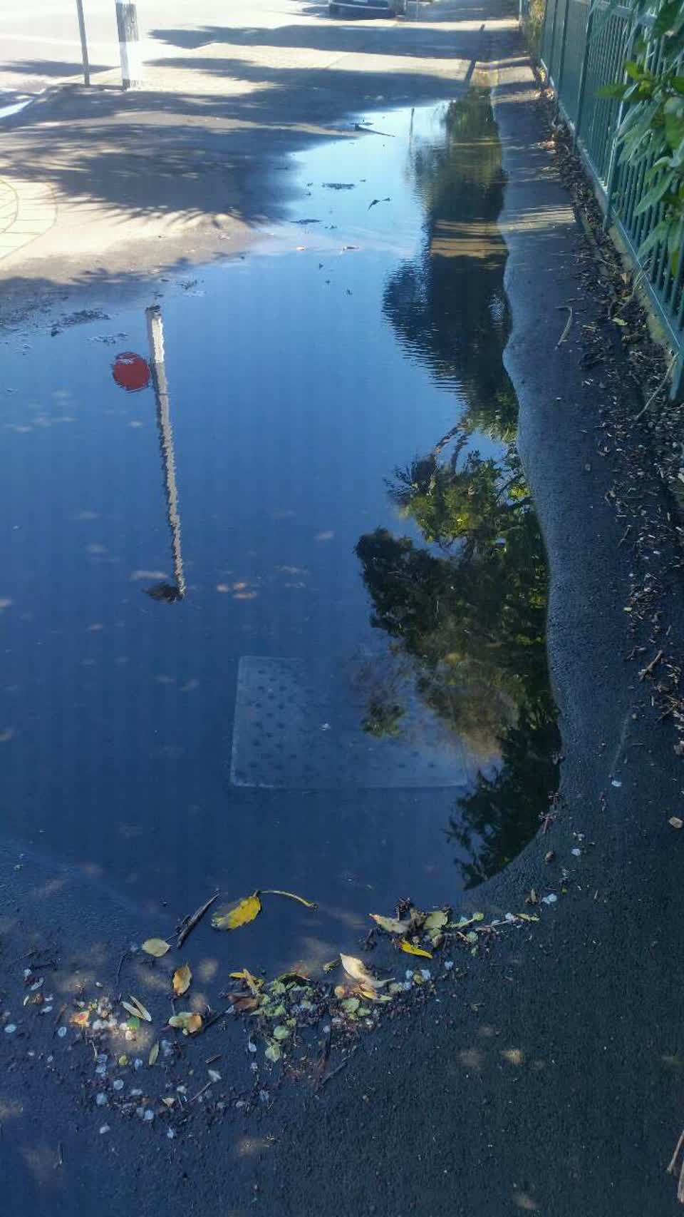 The photograph attached to this roading/streets report