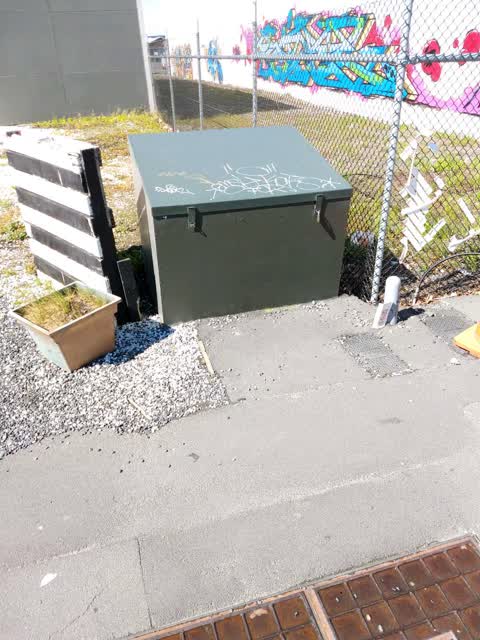 Graffiti, a report photo