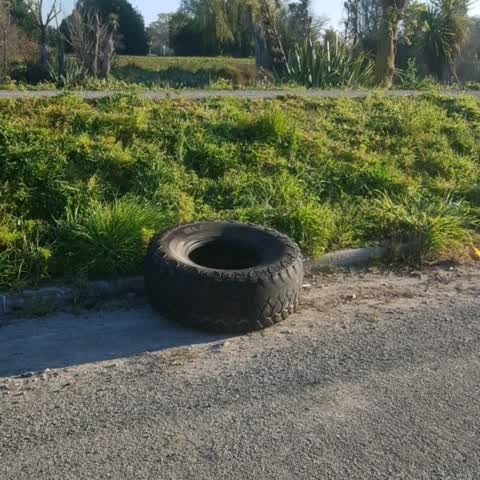 Rubbish/Recycling, a report photo