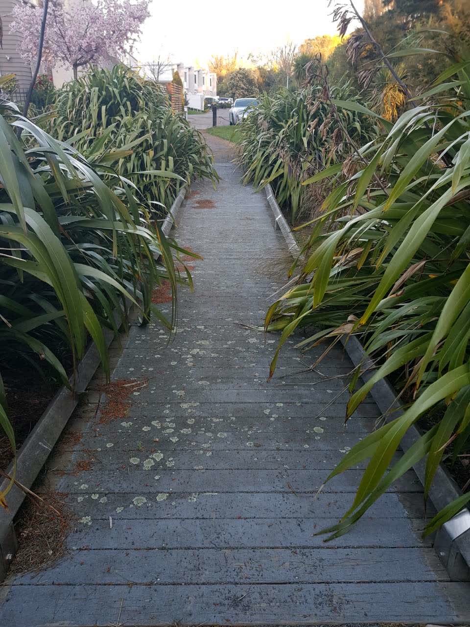 The photograph attached to this parks report